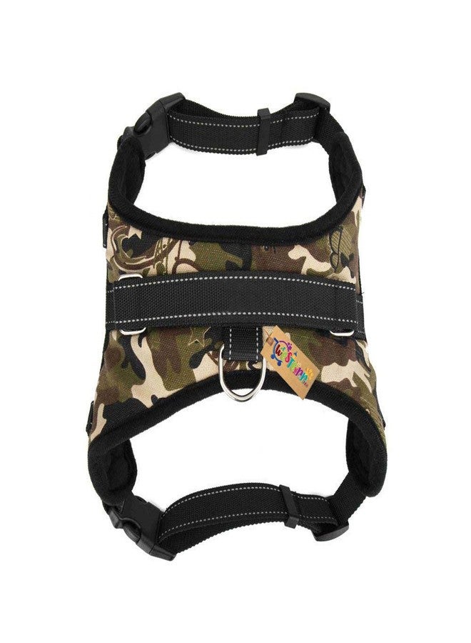 Western Era Vest Adjustable Padded Dog Sport Harness with Extra Confortable (Small Dogs) (Extra Large - XL) - Image 4